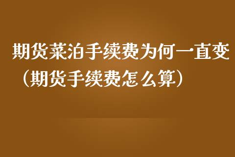 期货菜泊手续费为何一直变（期货手续费怎么算）