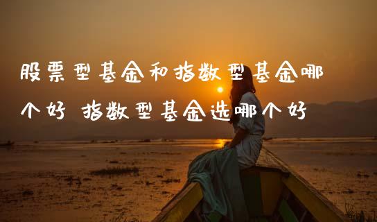 股票型基金和指数型基金哪个好 指数型基金选哪个好