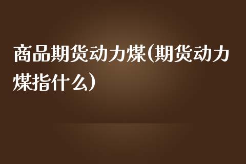 商品期货动力煤(期货动力煤指什么)