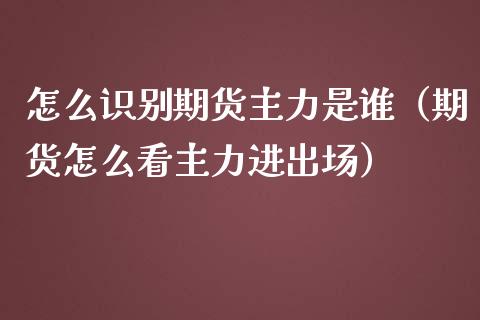 怎么识别期货主力是谁（期货怎么看主力进出场）
