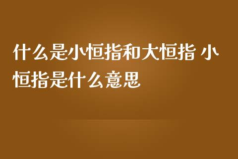 什么是小恒指和大恒指 小恒指是什么意思