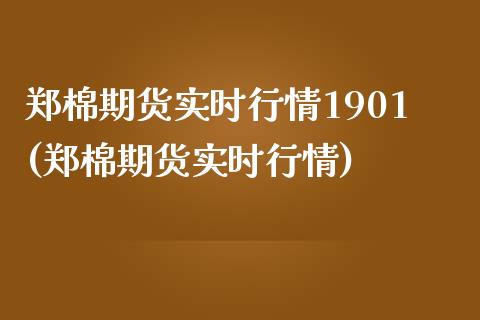 郑棉期货实时行情1901(郑棉期货实时行情)