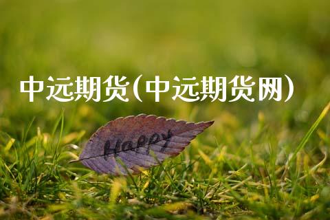 中远期货(中远期货网)