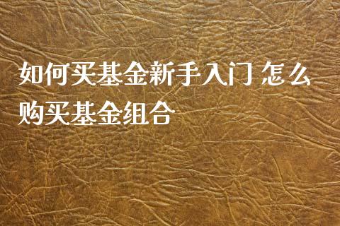 如何买基金新手入门 怎么购买基金组合
