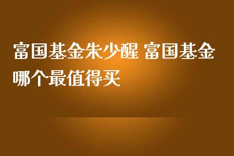 富国基金朱少醒 富国基金哪个最值得买