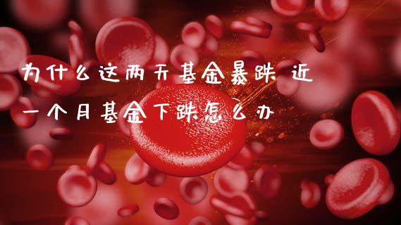 为什么这两天基金暴跌 近一个月基金下跌怎么办