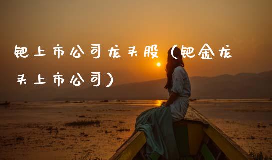 钯上市公司龙头股（钯金龙头上市公司）