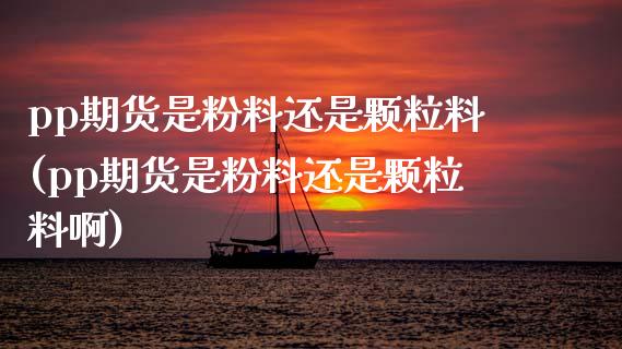 pp期货是粉料还是颗粒料(pp期货是粉料还是颗粒料啊)