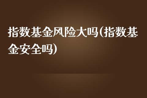 指数基金风险大吗(指数基金安全吗)