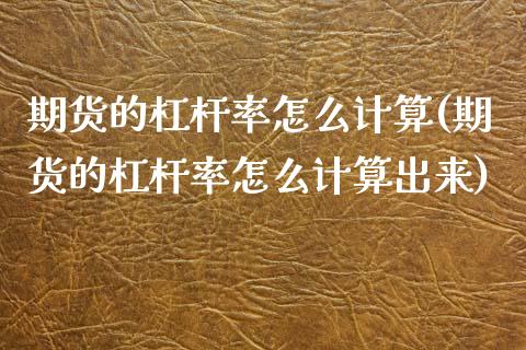 期货的杠杆率怎么计算(期货的杠杆率怎么计算出来)