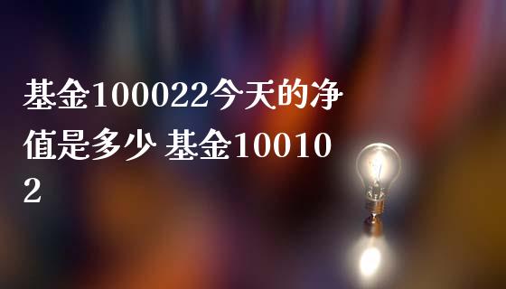 基金100022今天的净值是多少 基金100102