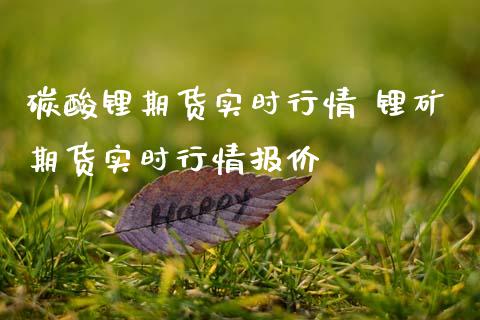 碳酸锂期货实时行情 锂矿期货实时行情报价_财经要闻_第1张_宇龙理财网 碳酸锂期货实时行情 锂矿期货实时行情报价_https://www.dglong8.com_财经要闻_第1张