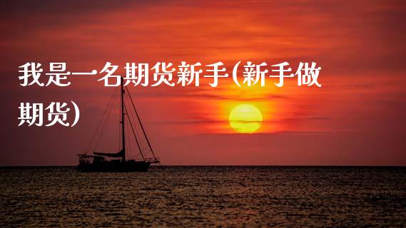 我是一名期货新手(新手做期货)