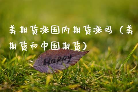 美期货涨国内期货涨吗（美期货和中国期货）