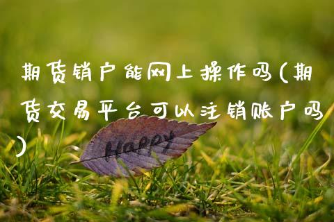 期货销户能网上操作吗(期货交易平台可以注销账户吗)_https://www.dglong8.com_期货理财_第1张