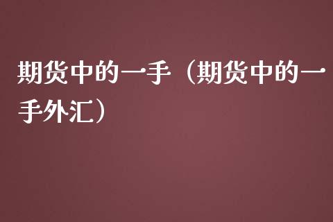 期货中的一手（期货中的一手外汇）
