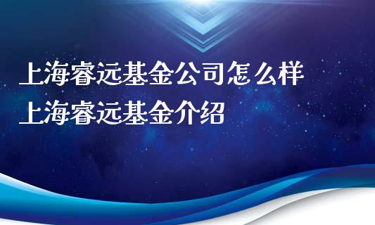 上海睿远基金公司怎么样 上海睿远基金介绍