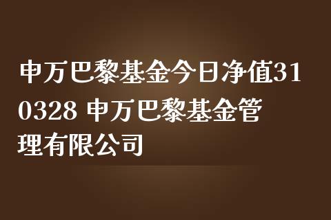 申万巴黎基金今日净值310328 申万巴黎基金管理有限公司