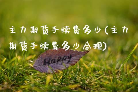 主力期货手续费多少(主力期货手续费多少合理)
