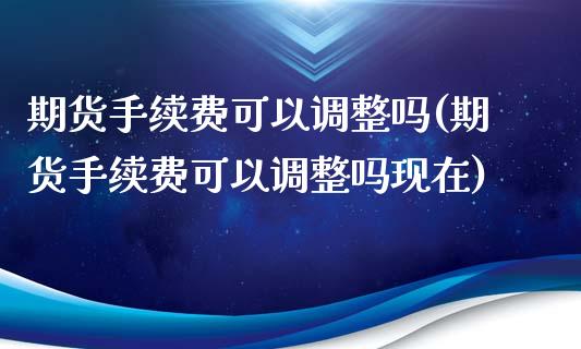 期货手续费可以调整吗(期货手续费可以调整吗现在)