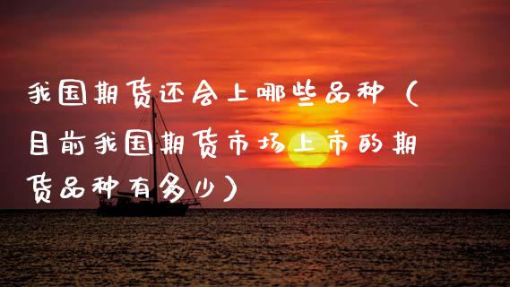 我国期货还会上哪些品种（目前我国期货市场上市的期货品种有多少）