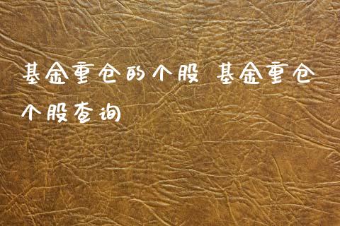 基金重仓的个股 基金重仓个股查询