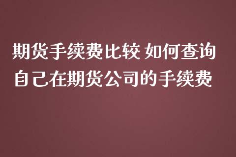 期货手续费比较 如何查询自己在期货公司的手续费