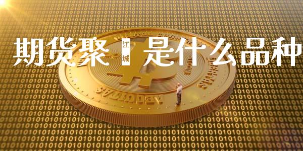 期货聚酯是什么品种