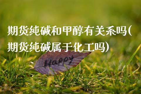 期货纯碱和甲醇有关系吗(期货纯碱属于化工吗)