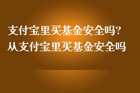 支付宝里买基金安全吗? 从支付宝里买基金安全吗
