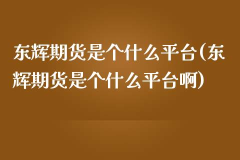 东辉期货是个什么平台(东辉期货是个什么平台啊)