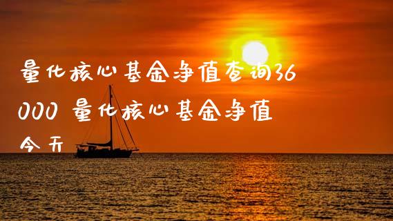 量化核心基金净值查询36000 量化核心基金净值今天