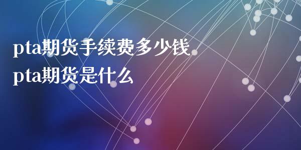 pta期货手续费多少钱 pta期货是什么