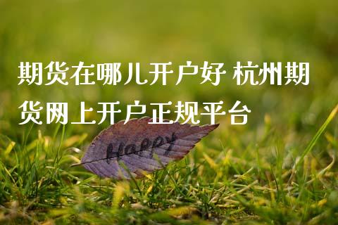 期货在哪儿开户好 杭州期货网上开户正规平台