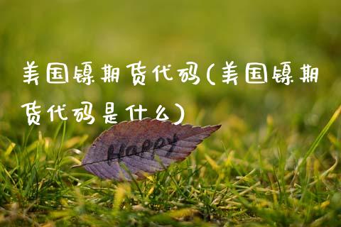 美国镍期货代码(美国镍期货代码是什么)