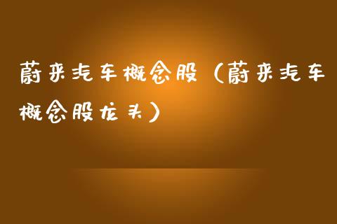 蔚来汽车概念股（蔚来汽车概念股龙头）