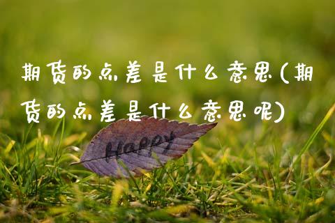 期货的点差是什么意思(期货的点差是什么意思呢)