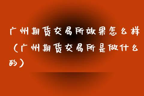 广州期货交易所效果怎么样（广州期货交易所是做什么的）