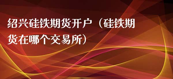 绍兴硅铁期货开户（硅铁期货在哪个交易所）