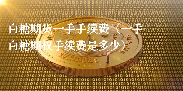 白糖期货一手手续费（一手白糖期权手续费是多少）