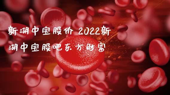 新湖中宝股价 2022新湖中宝股吧东方财富_https://www.dglong8.com_股票理财_第1张