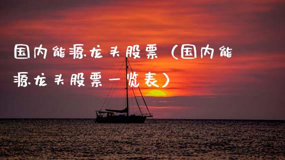 国内能源龙头股票（国内能源龙头股票一览表）_https://www.dglong8.com_财经要闻_第1张