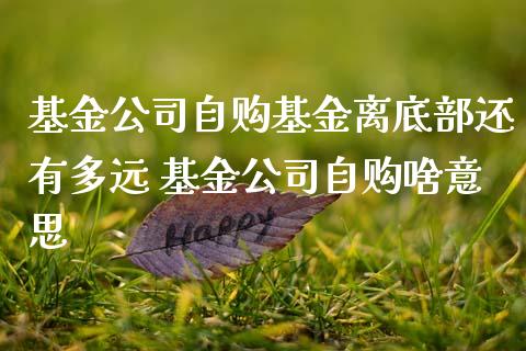 基金公司自购基金离底部还有多远 基金公司自购啥意思