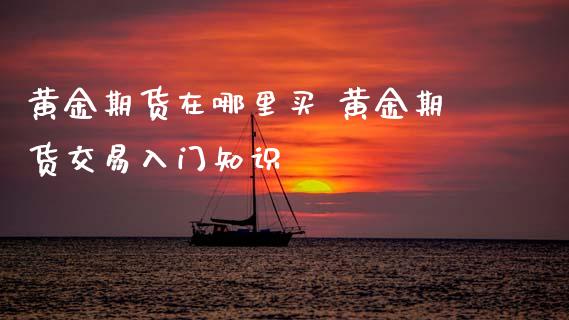 黄金期货在哪里买 黄金期货交易入门知识