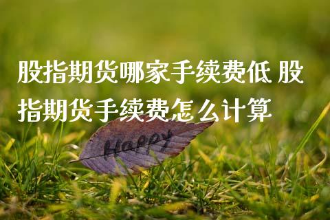股指期货哪家手续费低 股指期货手续费怎么计算