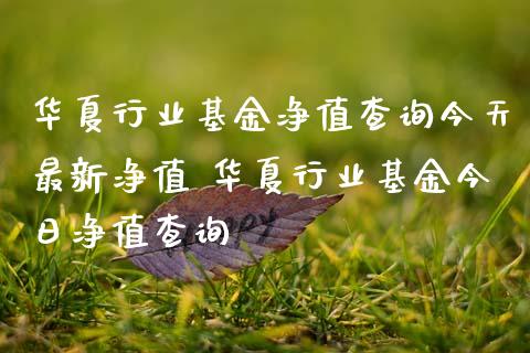 华夏行业基金净值查询今天最新净值 华夏行业基金今日净值查询