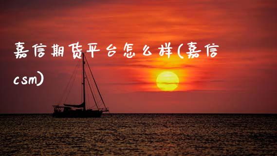 嘉信期货平台怎么样(嘉信csm)