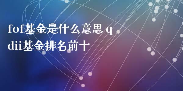 fof基金是什么意思 qdii基金排名前十