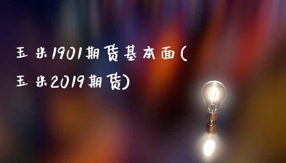 玉米1901期货基本面(玉米2019期货)
