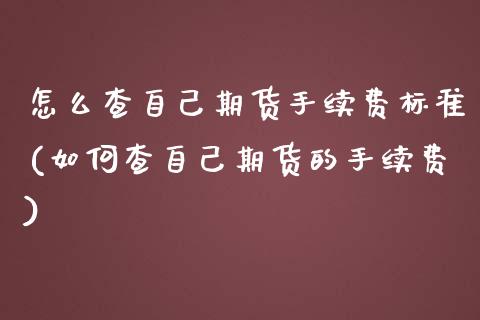怎么查自己期货手续费标准(如何查自己期货的手续费)